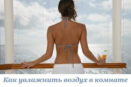 Как увлажнить воздух в комнате: вода - это жизнь. Как увлажнить воздух в комнате: вода - это жизнь.