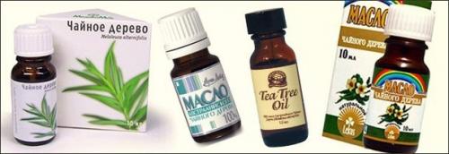 Волшебное масло чайного дерева (рецепты). Волшебное масло чайного дерева (рецепты).
