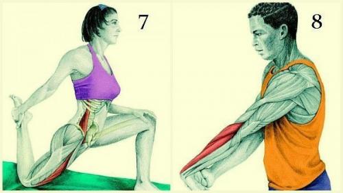 20 упражнений для гибкости всего тела: это лучшее, что можно сделать для роста и укрепления мышц! 03