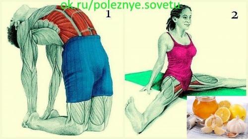 20 упражнений для гибкости всего тела: это лучшее, что можно сделать для роста и укрепления мышц!