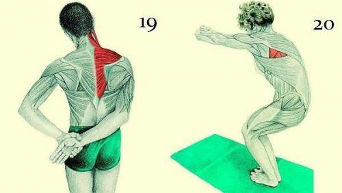 20 упражнений для гибкости всего тела: это лучшее, что можно сделать для роста и укрепления мышц! 09