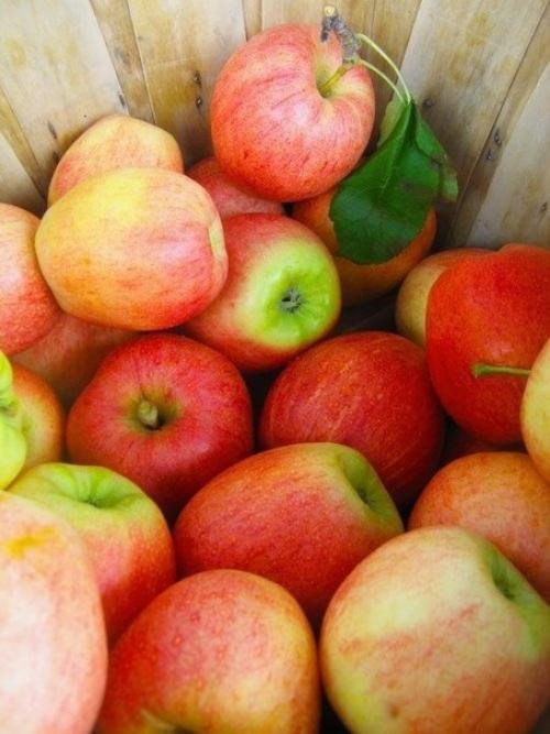 Перекус в ПОМОЩЬ мозгу.

