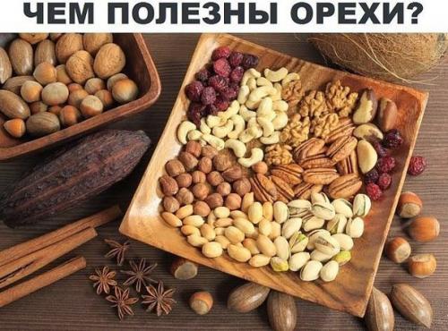 Питательные и лечебные свойства ореха известны ещё с седой старины.