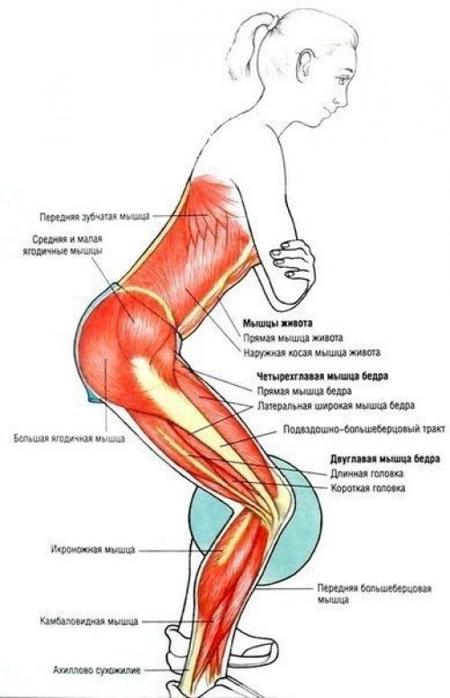 Упражнения для ягодиц и ног? 05