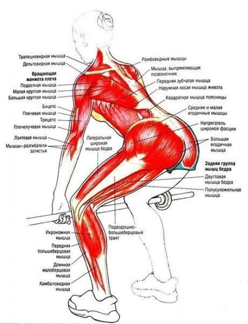 Упражнения для ягодиц и ног? 08