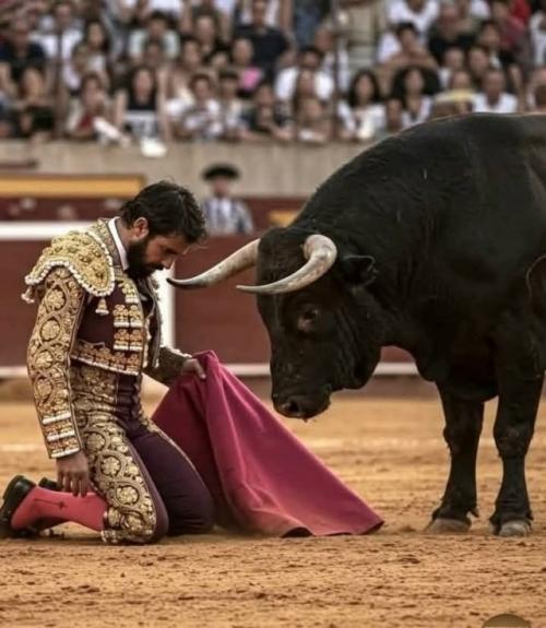 Эта фотография, где знаменитый тореро Альваро мунера рухнул на песок арены, запечатлела не падение, а прозрение.  