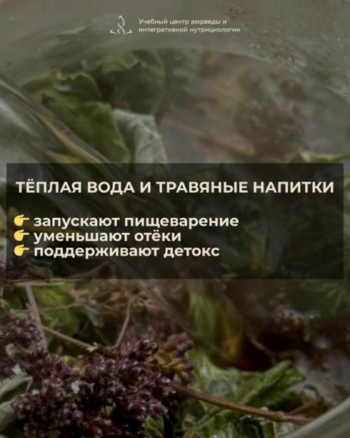 Весной тело перестраивается - и часто это ощущается как: тяжесть, отёки, вялость после еды. 05