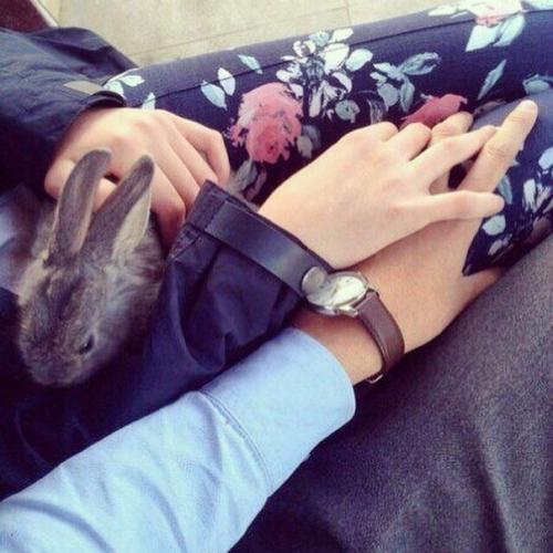 Отношениям нужно учиться. Отношениям нужно учиться.