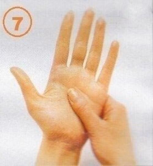 Источник_долголетия зож здоровье. 06 Источник_долголетия зож здоровье. 06