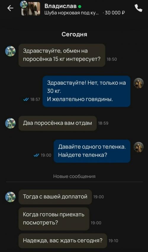 Девушка выставила на продажу шубу, но вместо обычного покупателя ей написал настоящий мастер бартерных сделок. 01
