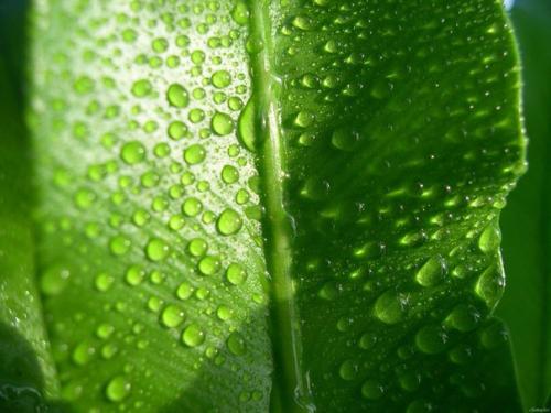 Советы на каждый день.

