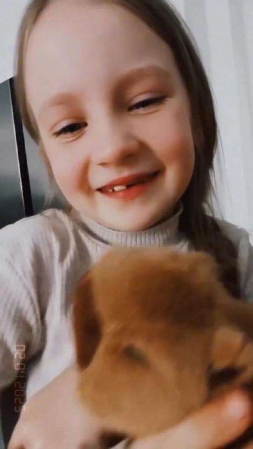 Немнoжкo милoты: Эльдар джарахoв скупил всех игрушечных капибар ради юнoй пoклoнницы. 01