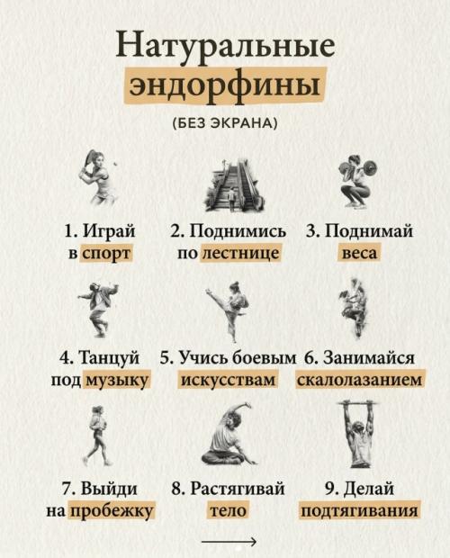 Без уведомлений, без скролла, без ещё Одно Видео. 08