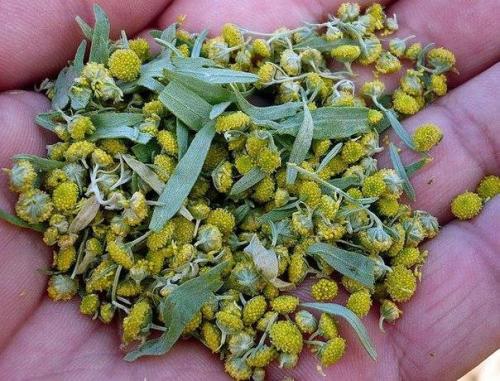 Очищаемся от паразитов! 

