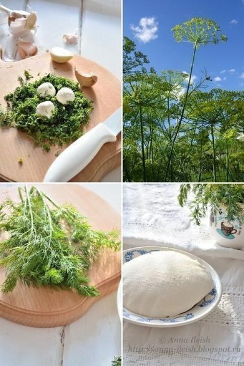 Сыр творожный. Творожный сыр из сметаны и кефира.