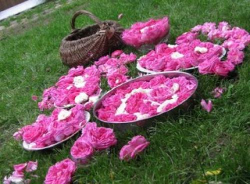 Вы здесь только для краткого визита. 04