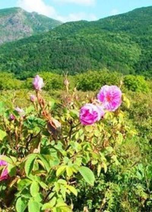 Вы здесь только для краткого визита.