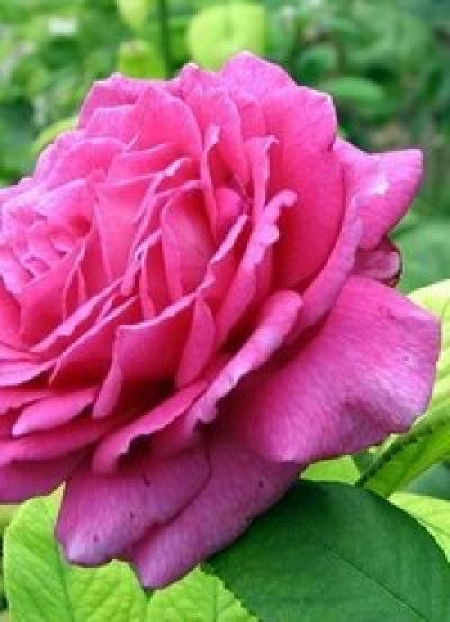 Вы здесь только для краткого визита. 02