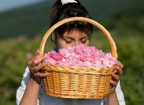 Вы здесь только для краткого визита. 01