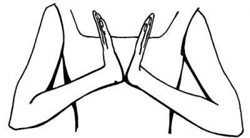 Наши пальцы могут лечить наше тело. Наши пальцы могут лечить наше тело.