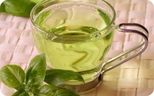 Самое высокое дерево всех времен - царственный эвкалипт (Eucalyptus Regnans.