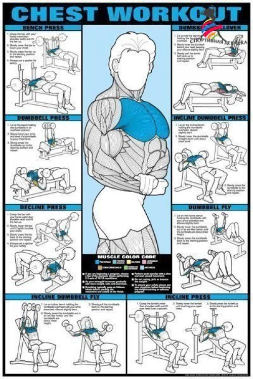 Лучшие упражнения и анатомия тела. 01