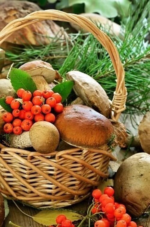 Август!  Его задержать бы, но. 01