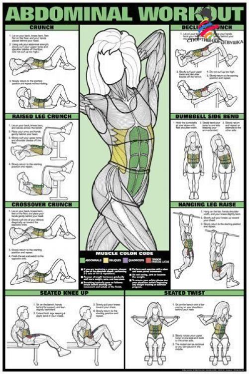 Лучшие упражнения и анатомия тела.
