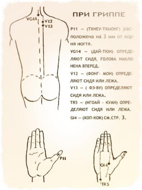 Бальзам Золотая Звезда - правила и точки эффективного применения. 01 Бальзам Золотая Звезда - правила и точки эффективного применения. 01