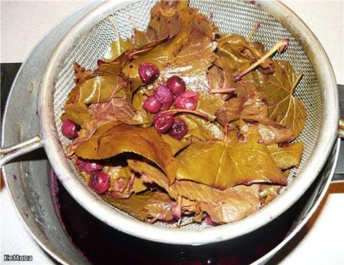 Ароматная наливочка - называется она 100 листьев. Ароматная наливочка - называется она 100 листьев.