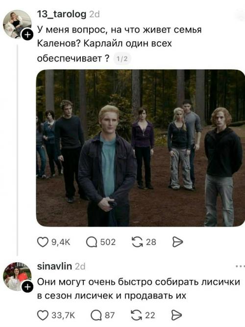 В сети обсуждают, на что живёт семья калленов из 