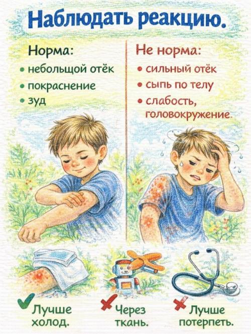 Укус насекомого - почти неизбежен летом. 04