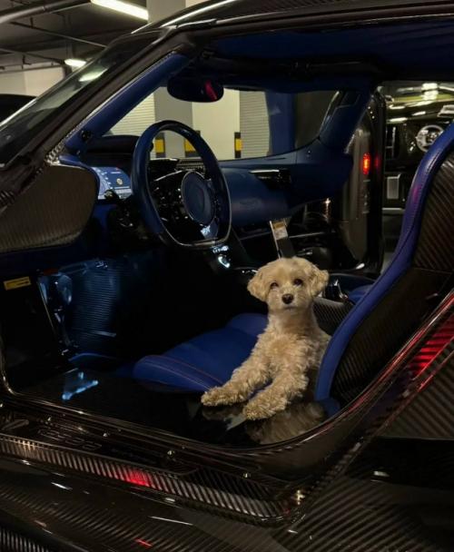 Валя Иванова хвастается дорогим подарком от тимати. 01