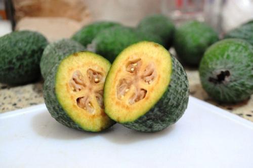 Зимняя ягода фейхоа на защите здоровья.