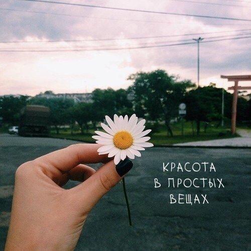 Балуйте свою женщину …. Балуйте свою женщину ….