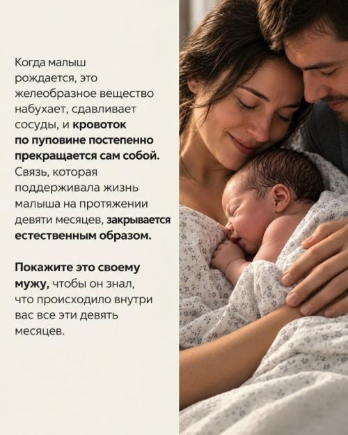 Вот так выглядит пуповина. 04