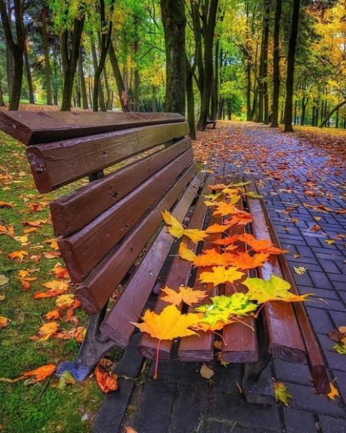 Мы с осенью на лавочке сидели, она и я, как будто две подруги.