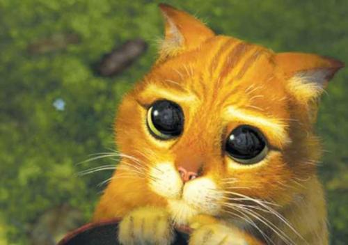 Запомните! За что Вы не обязаны извиняться. 