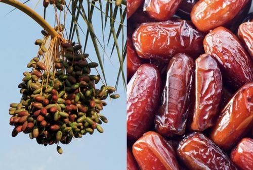 Поможет похудеть, защитит от инсульта и не только! Поможет похудеть, защитит от инсульта и не только!