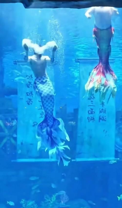 Жестокая реальность подводных артистов.

