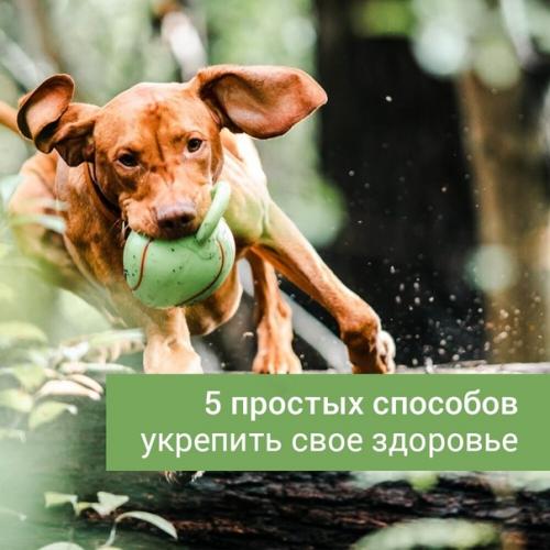 5 простых способов укрепить свое здоровье. 5 простых способов укрепить свое здоровье.