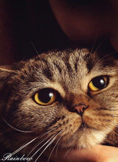 Что бы ни было у человека в течение дня, когда он входит в свой дом, он должен попасть в атмосферу любви и добра. 04