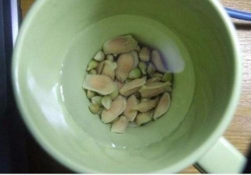 Как вырастить лимонное дерево в чашке. Как вырастить лимонное дерево в чашке.