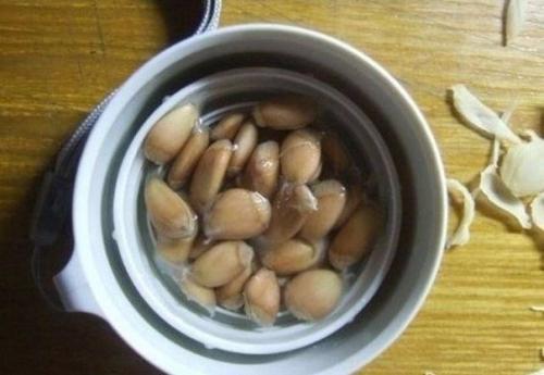 Как вырастить лимонное дерево в чашке. 02 Как вырастить лимонное дерево в чашке. 02