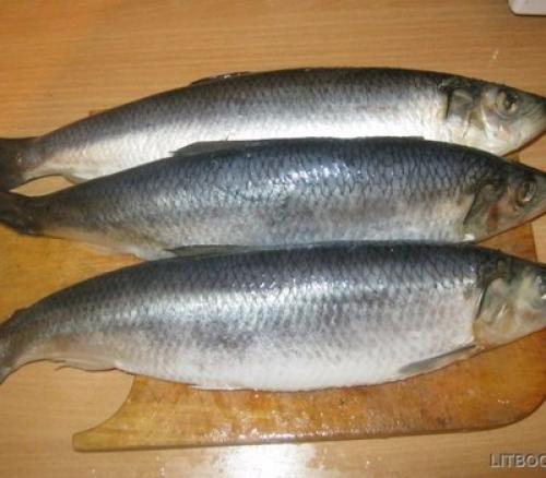 Сельдь пряного посола. 01 Сельдь пряного посола. 01