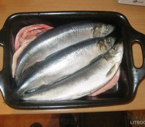 Сельдь пряного посола. 05 Сельдь пряного посола. 05