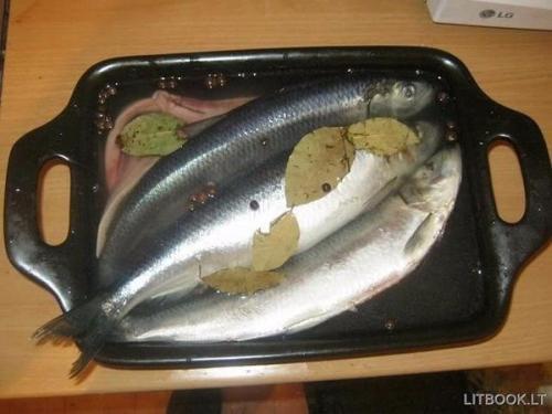 Сельдь пряного посола. Сельдь пряного посола.