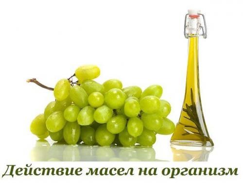 Как действуют различные масла на человеческий организм. Как действуют различные масла на человеческий организм.