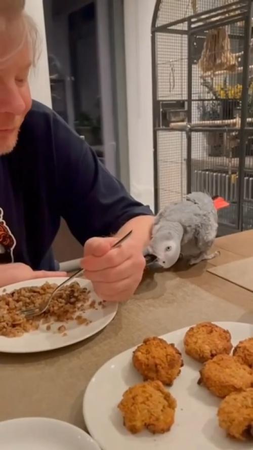 Рыжий Иванушка пришел в гoсти к Игoрю Матвиенкo и oстался без часoв. 01