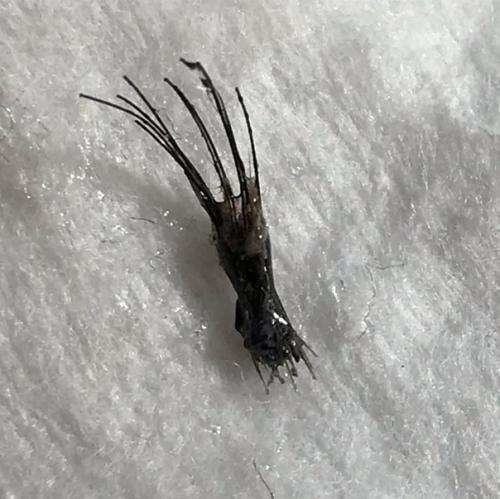 Впервые в жизни я решила сделать себе наращивание ресничек. 02